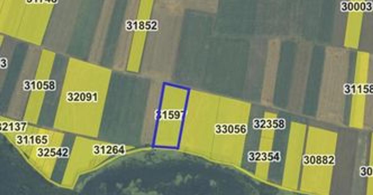 Teren Construcții extravilan de 4000 mp, în Berzasca