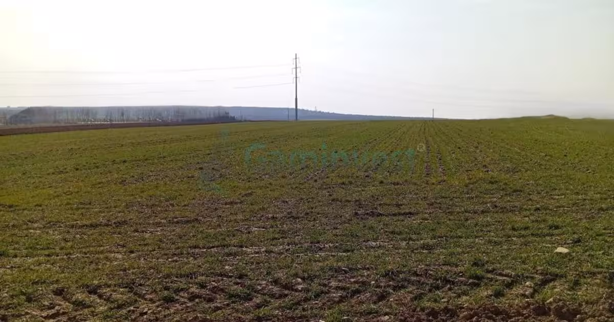 Teren Construcții intravilan de 20000 mp, în Biharia