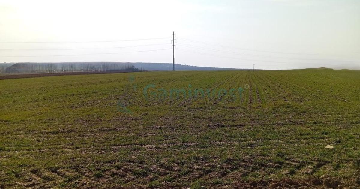 Teren Construcții intravilan de 20000 mp, în Biharia