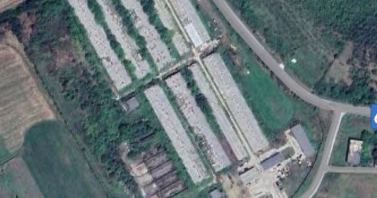Teren Construcții intravilan de 40000 mp, în Bistrița