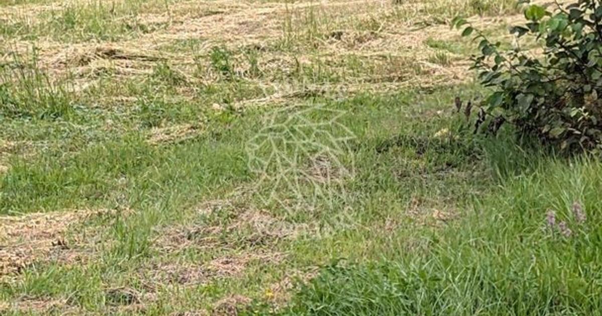 Teren Construcții intravilan de 500 mp, în Bistrița Bârgăului