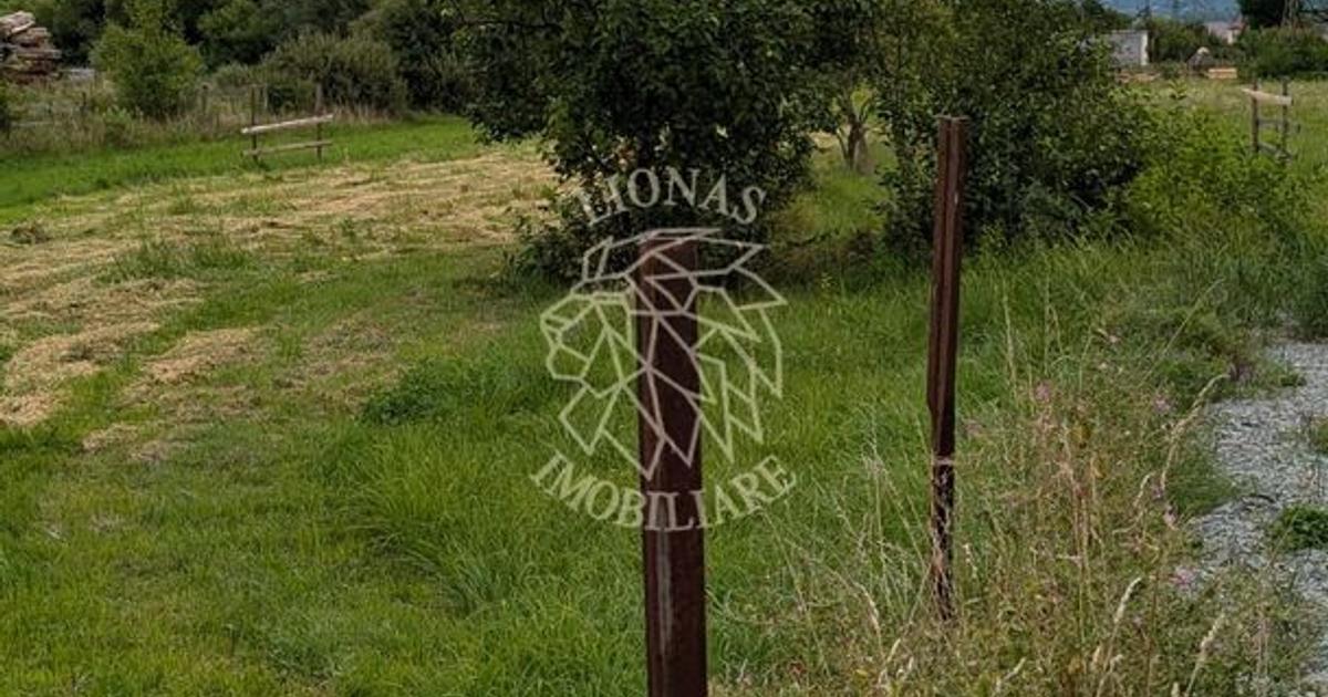 Teren Construcții intravilan de 7727 mp, în Bistrița Bârgăului