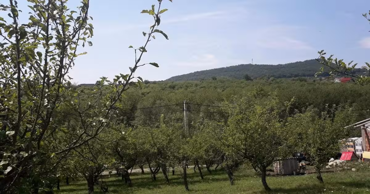 Teren Construcții extravilan de 8500 mp, în zona Calea Moldovei, Bistrița