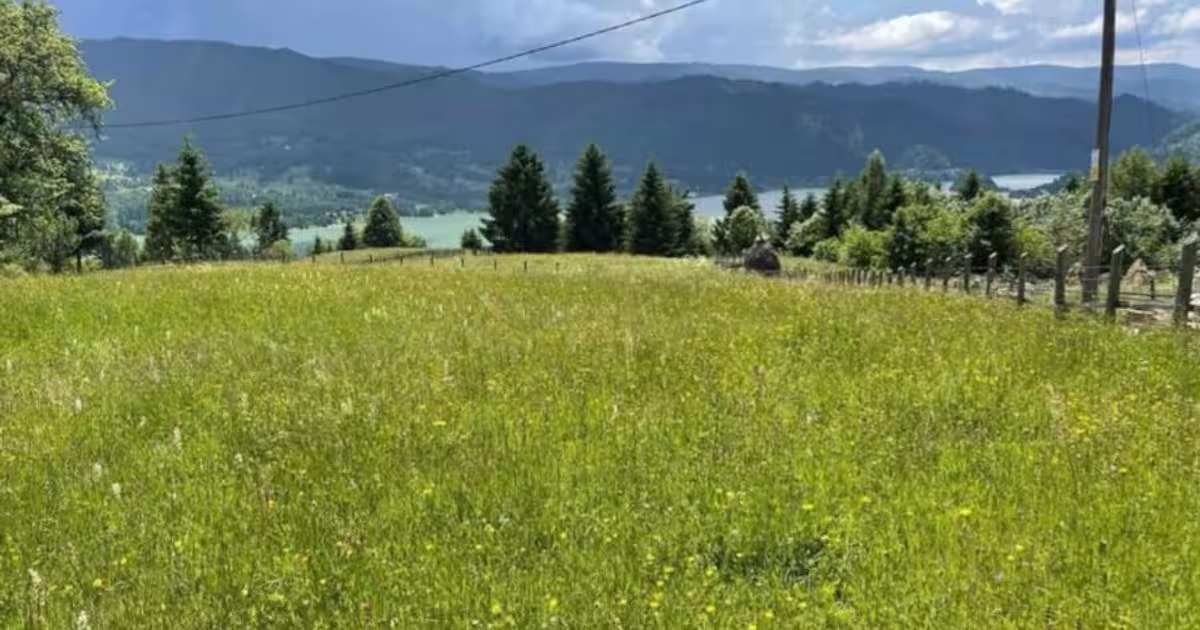 Teren Construcții intravilan de 1346 mp, în zona Central, Bistrița