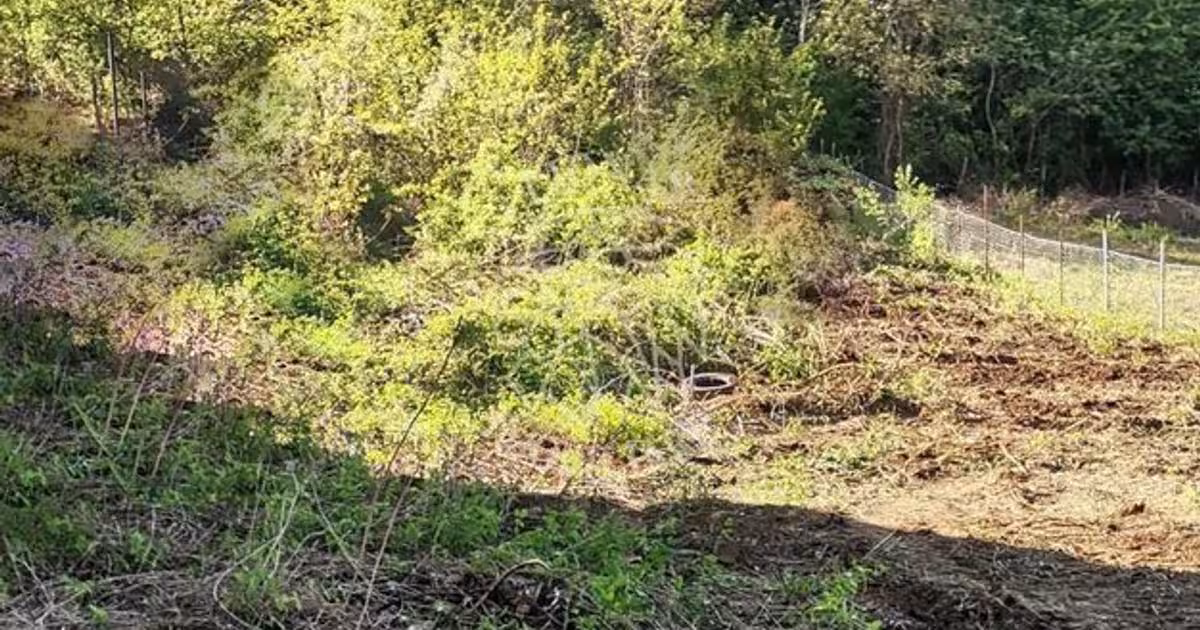 Teren Construcții intravilan de 1000 mp, în zona Centura, Bistrița