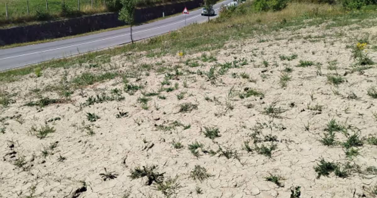Teren Construcții intravilan de 3800 mp, în zona Exterior Nord, Bistrița