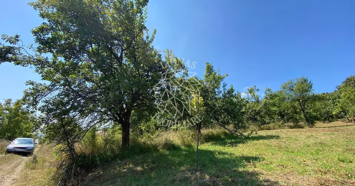 Teren Construcții intravilan de 1300 mp, în zona Nord, Bistrița