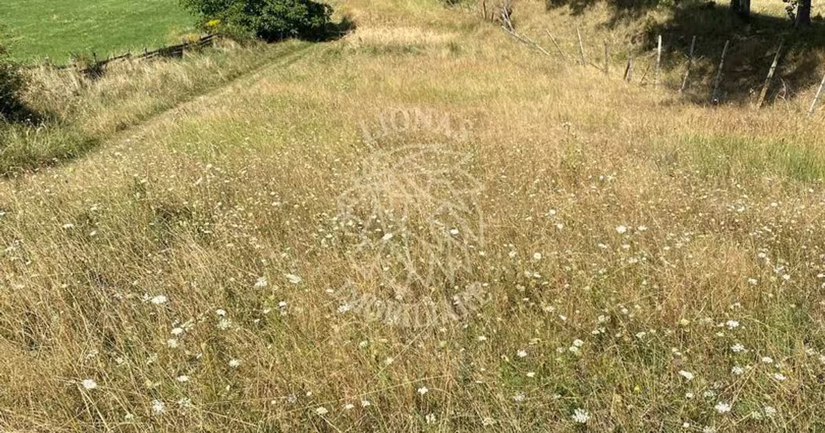 Teren Construcții intravilan de 2600 mp, în zona Nord, Bistrița