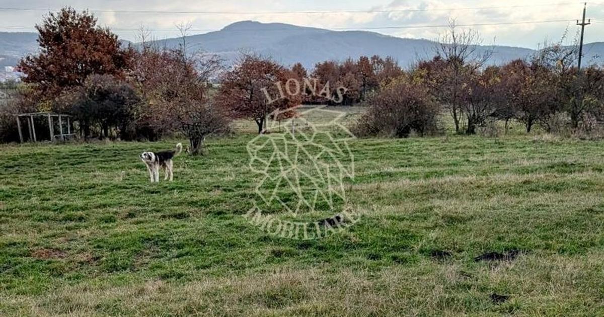 Teren Construcții intravilan de 800 mp, în zona Nord, Bistrița