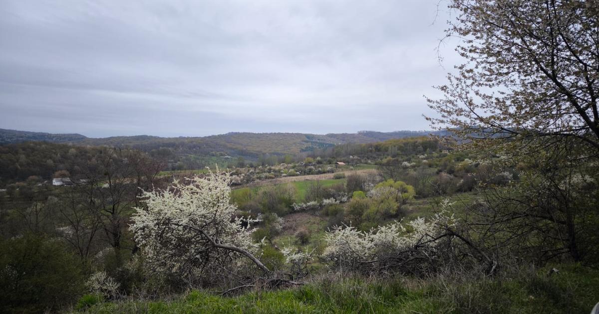 Teren Construcții intravilan de 5800 mp, în zona Periferie, Bistrița