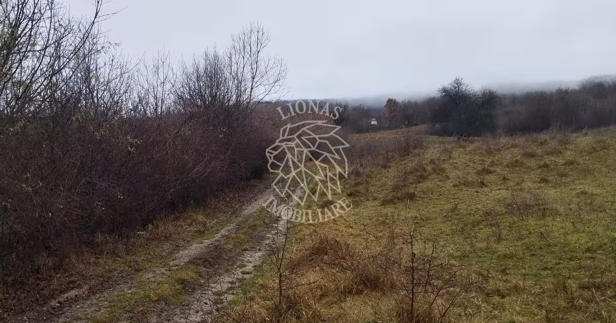 Teren Construcții extravilan de 1000 mp, în zona Sud-Est, Bistrița