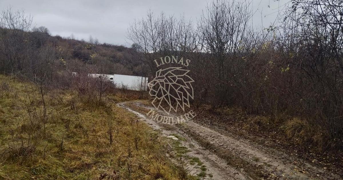 Teren Construcții extravilan de 1000 mp, în zona Sud-Est, Bistrița