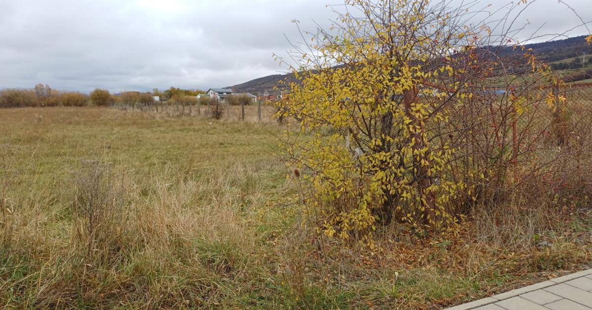 Teren Construcții intravilan de 5000 mp, în zona Unirea, Bistrița