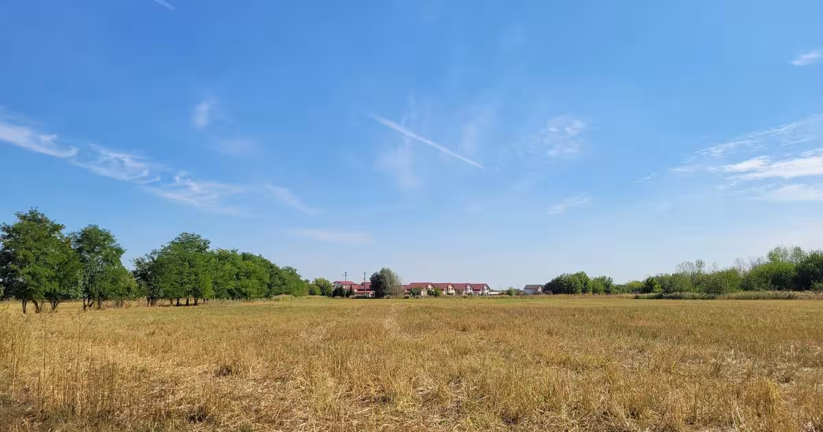 Teren Construcții intravilan de 9200 mp, în Bolintin-Deal