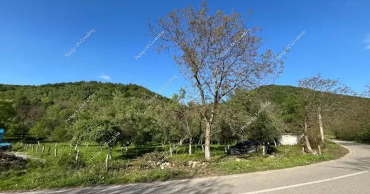 Teren Construcții extravilan de 2000 mp, în Borlova