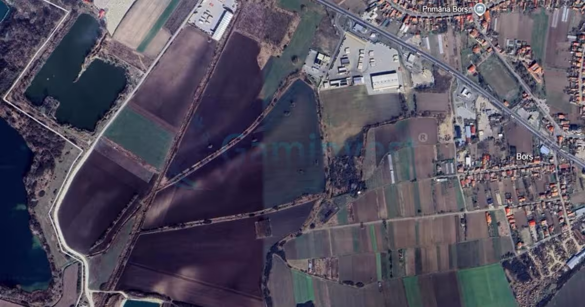 Teren Construcții intravilan de 13100 mp, în Borș