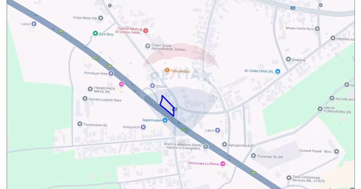 Teren Construcții intravilan de 1366 mp, în Borș