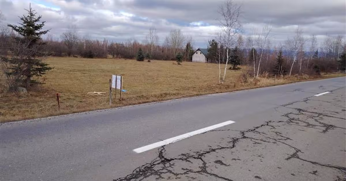Teren Construcții extravilan de 4000 mp, în Borzont