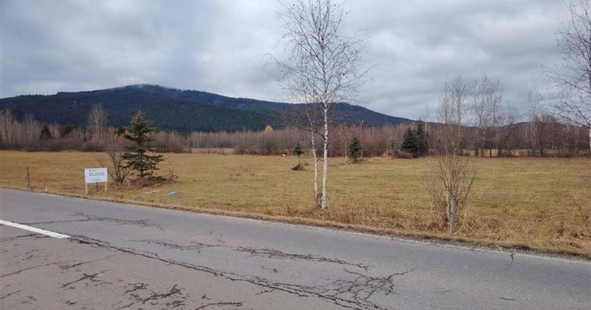 Teren Construcții extravilan de 4000 mp, în Borzont