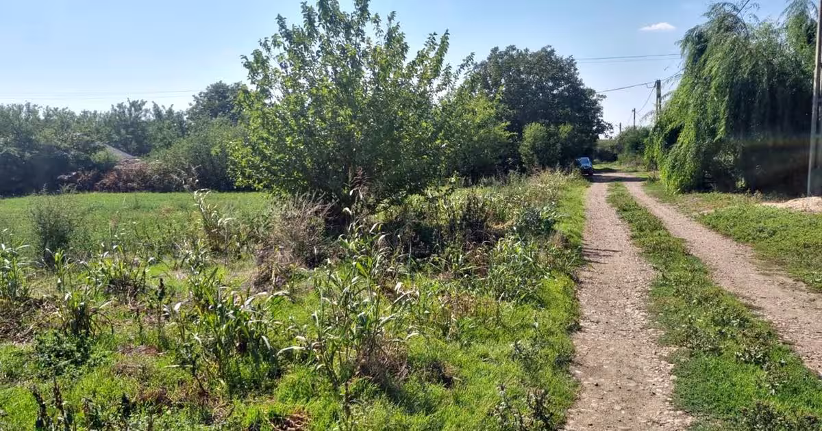 Teren Construcții intravilan de 1760 mp, în Boteni