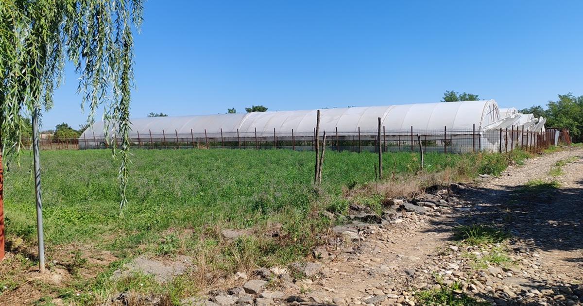 Teren Construcții intravilan de 1795 mp, în Boteni