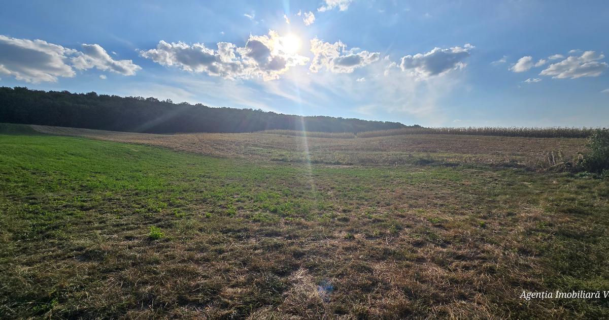 Teren Construcții extravilan de 10000 mp, în zona Central, Botoșani