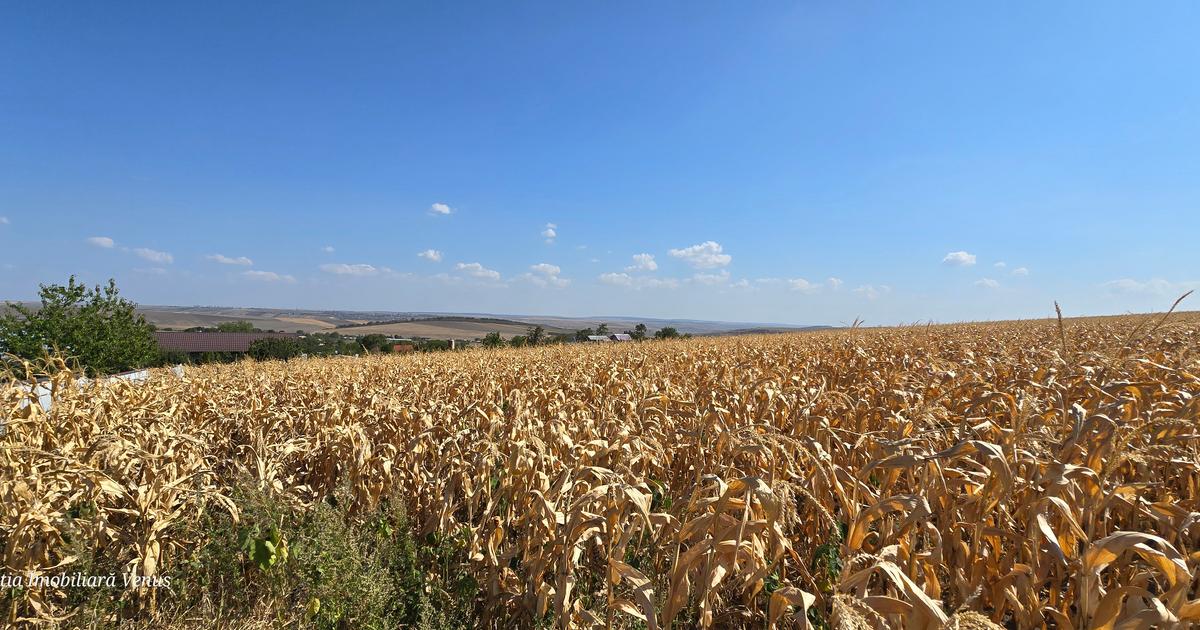 Teren Construcții intravilan de 1000 mp, în zona Central, Botoșani