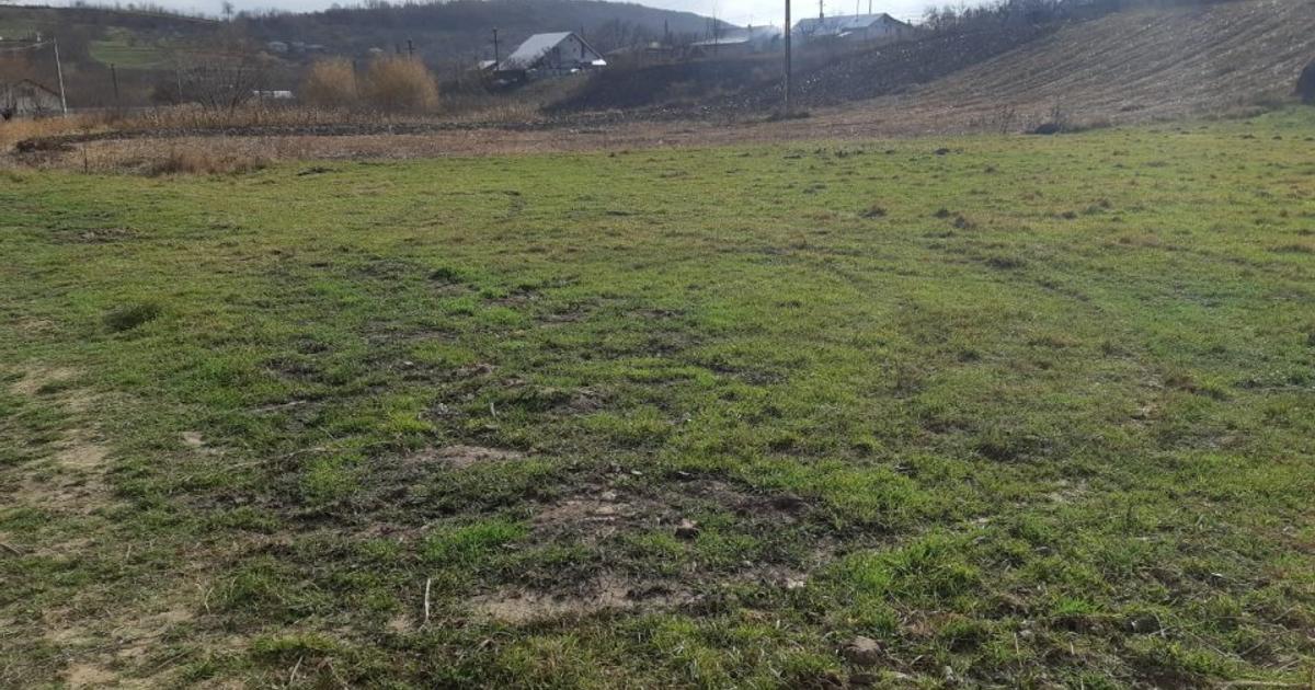 Teren Construcții intravilan de 1300 mp, în zona Central, Botoșani