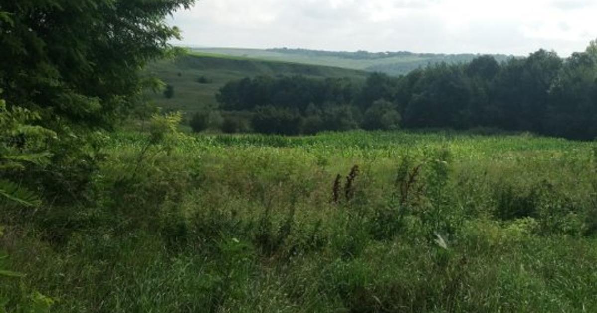 Teren Construcții intravilan de 1500 mp, în zona Central, Botoșani