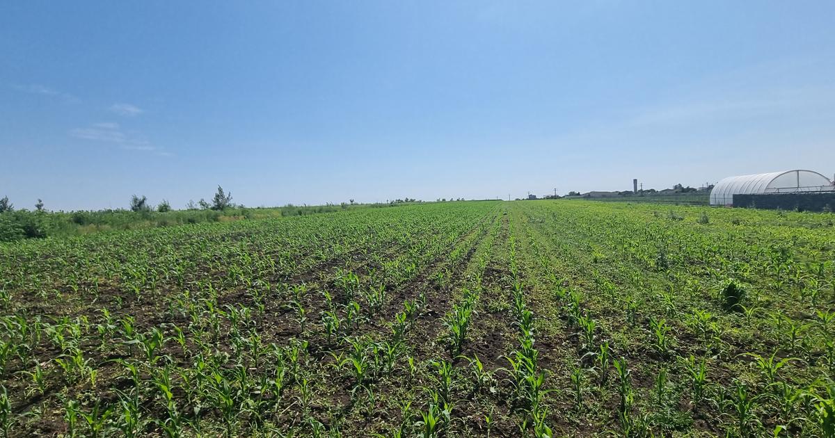 Teren Construcții intravilan de 1500 mp, în zona Central, Botoșani