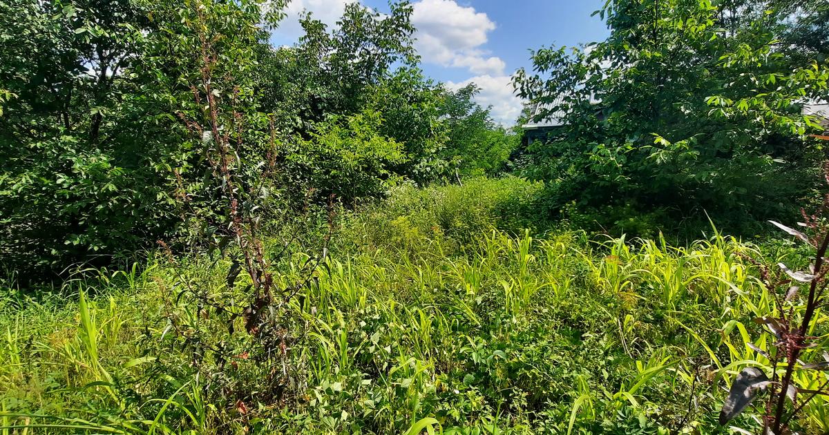 Teren Construcții intravilan de 1580 mp, în zona Central, Botoșani