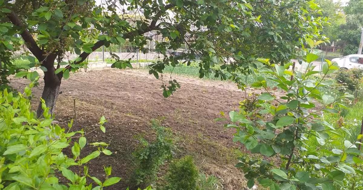 Teren Construcții intravilan de 2479 mp, în zona Central, Botoșani