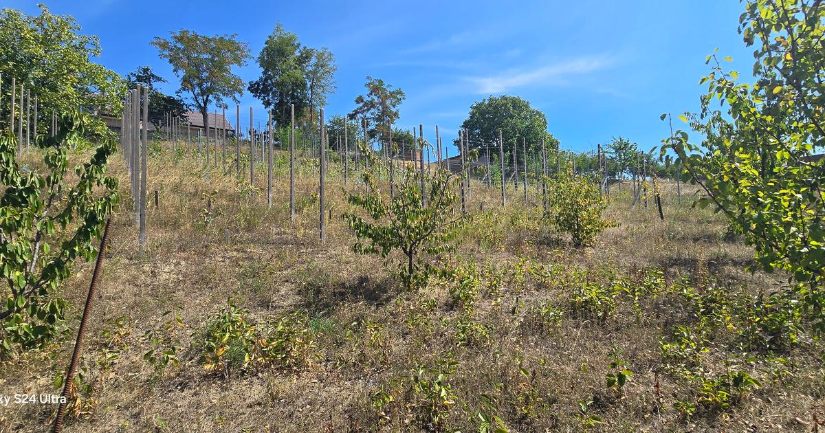 Teren Construcții intravilan de 3000 mp, în zona Central, Botoșani