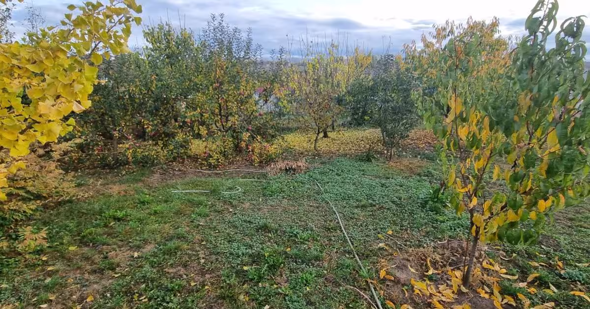 Teren Construcții intravilan de 3209 mp, în zona Central, Botoșani