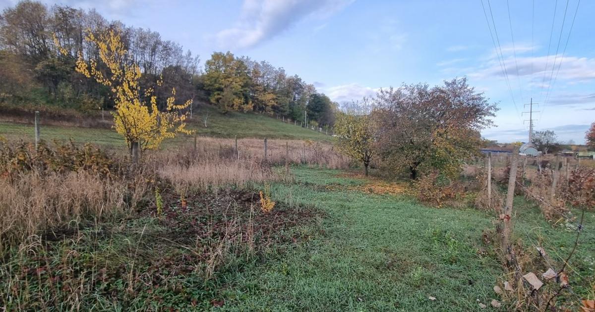 Teren Construcții intravilan de 3209 mp, în zona Central, Botoșani