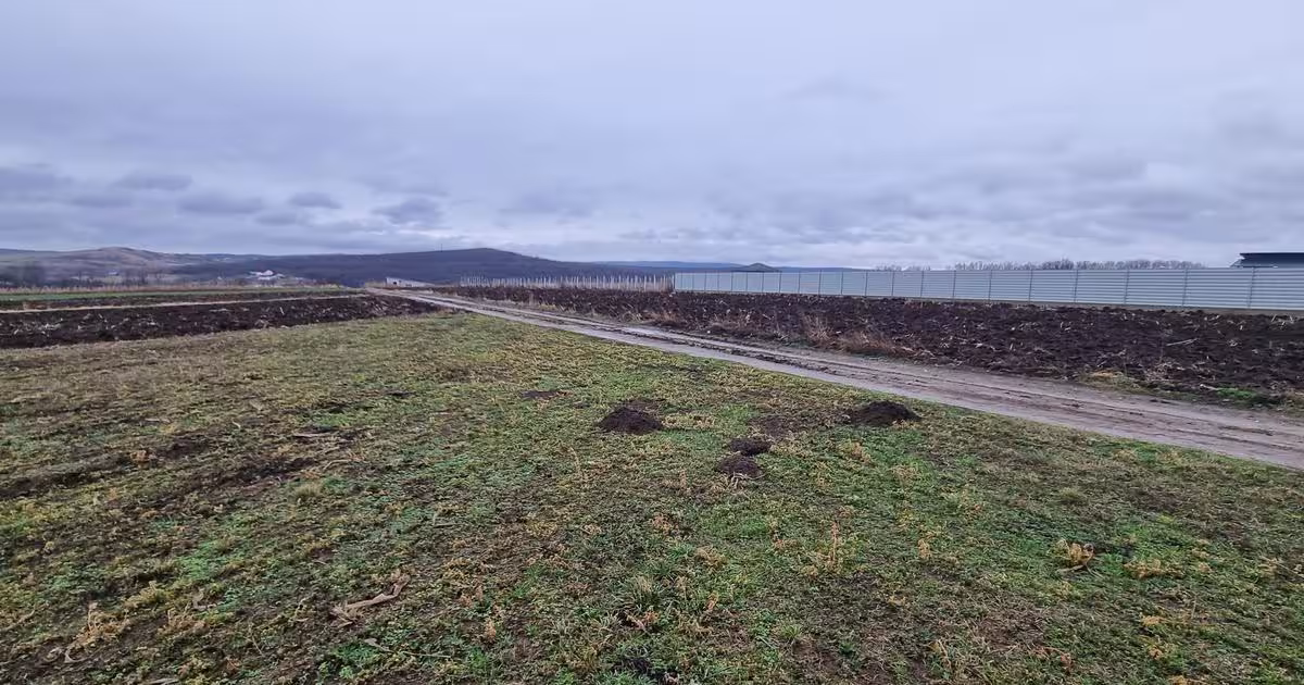 Teren Construcții intravilan de 560 mp, în zona Central, Botoșani