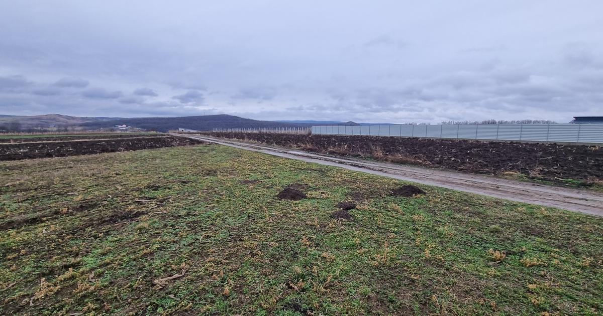 Teren Construcții intravilan de 560 mp, în zona Central, Botoșani