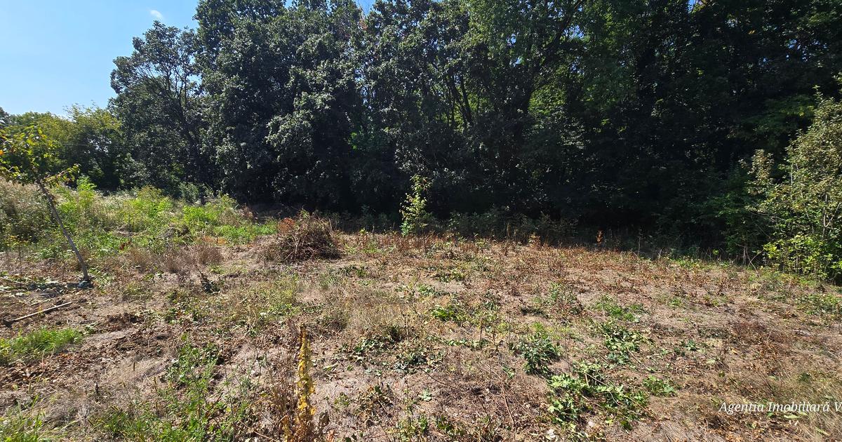 Teren Construcții intravilan de 650 mp, în zona Central, Botoșani