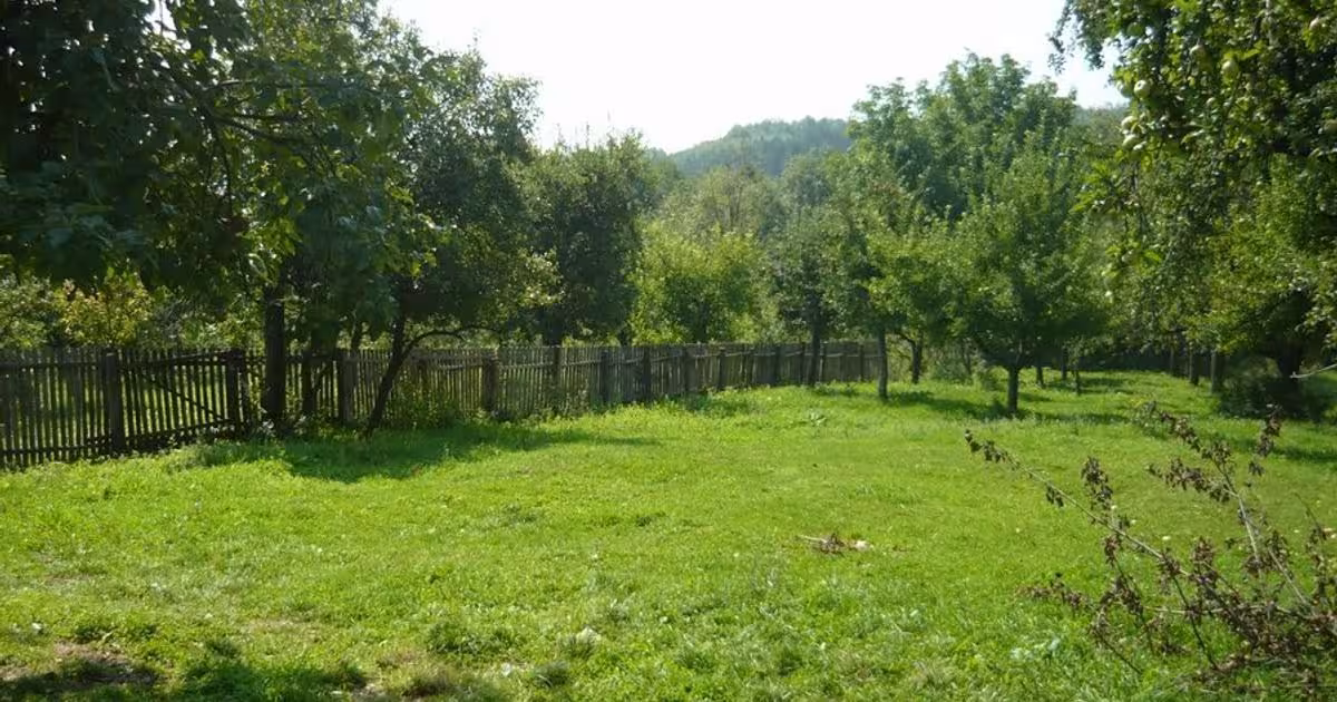 Teren Construcții intravilan de 7500 mp, în zona Central, Botoșani