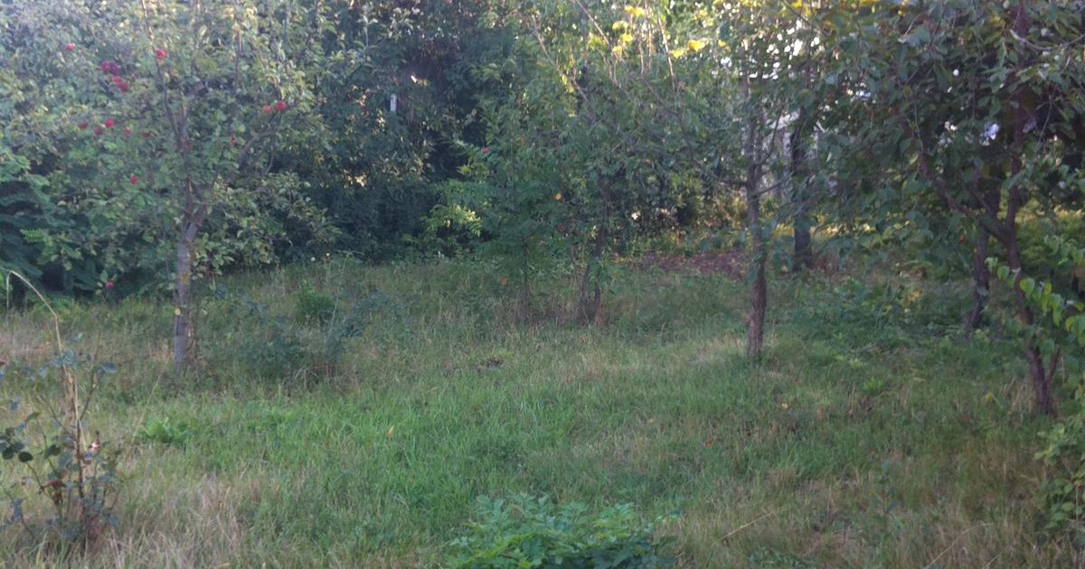 Teren Construcții intravilan de 800 mp, în zona Central, Botoșani