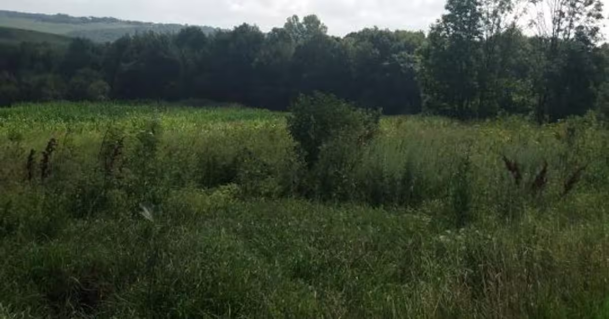 Teren Construcții intravilan de 8200 mp, în zona Central, Botoșani