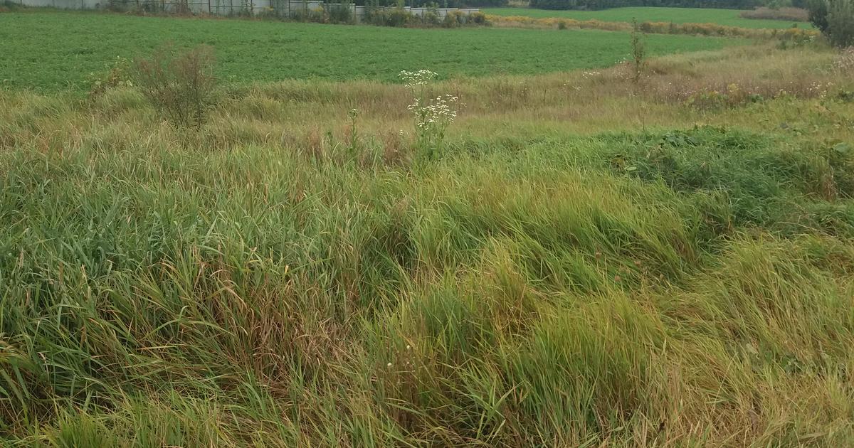 Teren Construcții intravilan de 938 mp, în zona Central, Botoșani