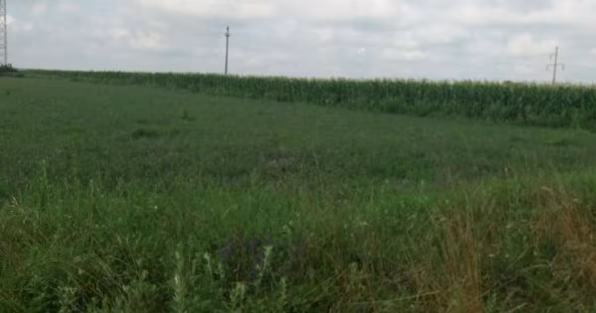 Teren Construcții intravilan de 11400 mp, în zona Periferie, Botoșani