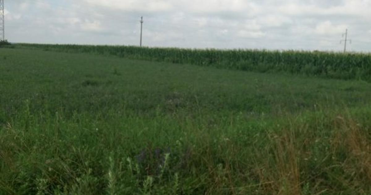 Teren Construcții intravilan de 11400 mp, în zona Periferie, Botoșani