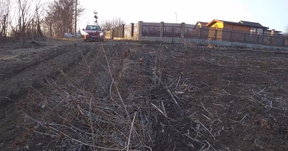 Teren Construcții intravilan de 705 mp, în zona Periferie, Botoșani