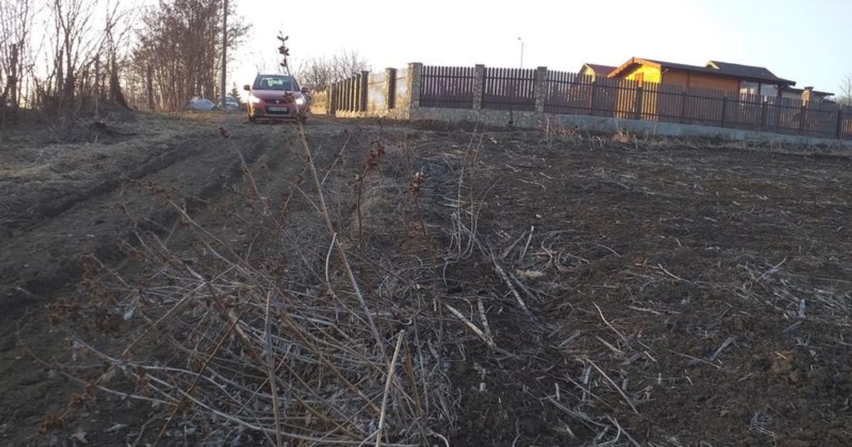 Teren Construcții intravilan de 705 mp, în zona Periferie, Botoșani