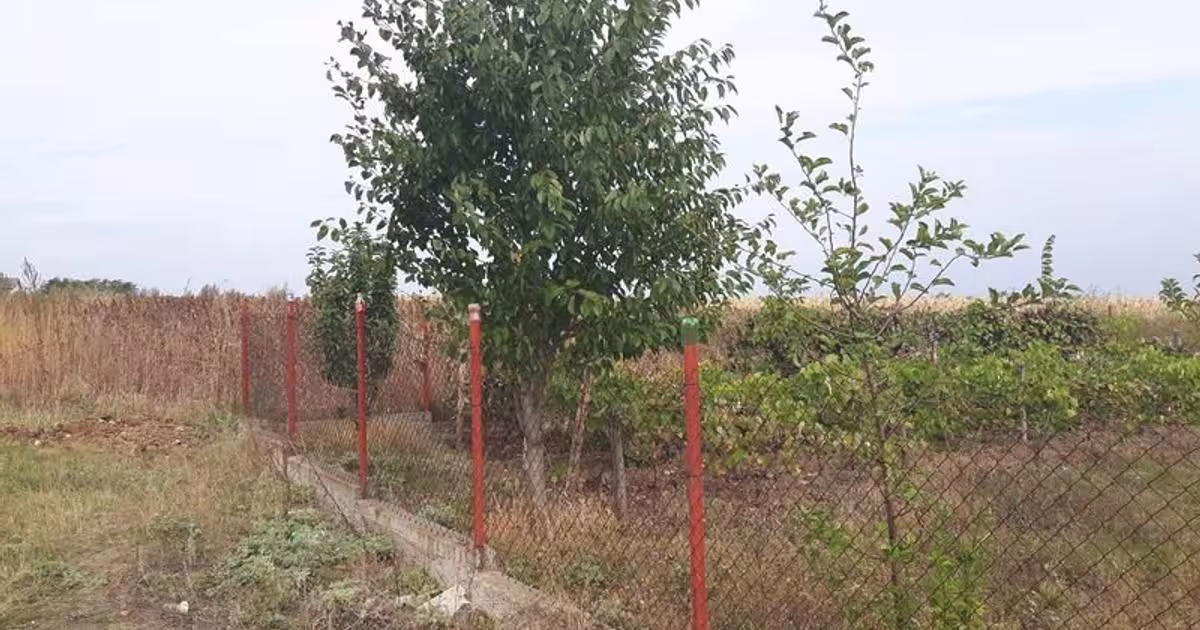 Teren Construcții intravilan de 800 mp, în zona Periferie, Botoșani