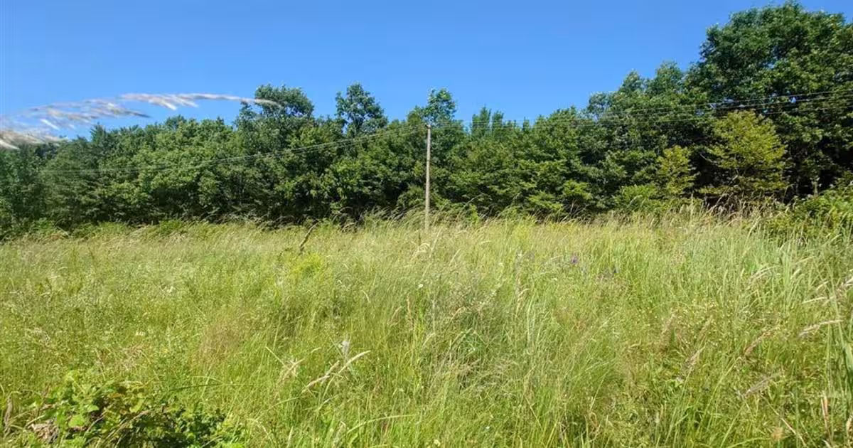 Teren Construcții intravilan de 3000 mp, în zona Exterior Est, Brad