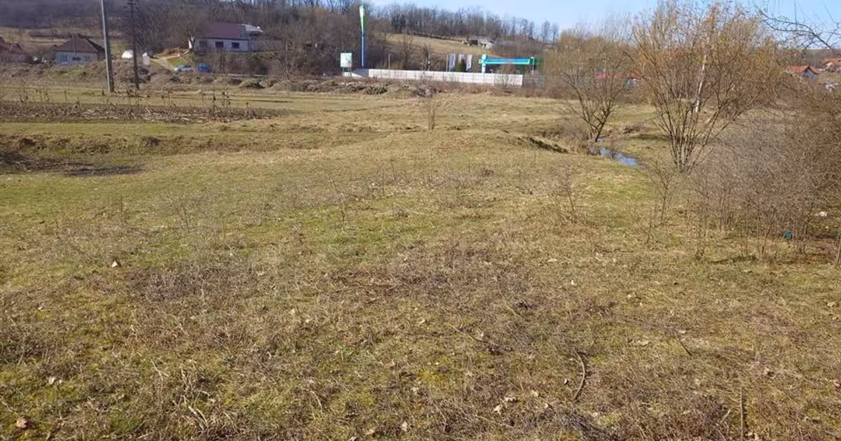 Teren Construcții intravilan de 3384 mp, în zona Sud-Est, Brad