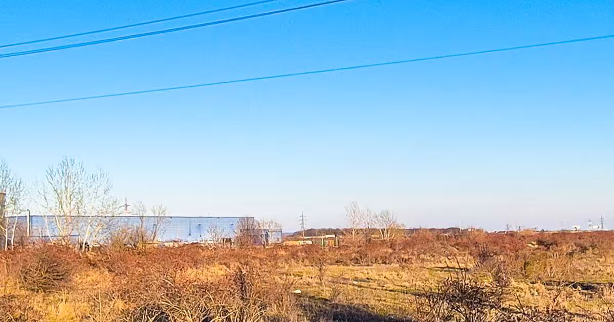 Teren Construcții intravilan de 9980 mp, în Bradu